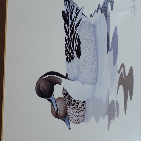 Vintage Richard Sloan Duck Print Framed - Picture 3 of 7